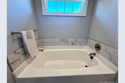 171 Apache Trail, Sanford, NC 27332 - Photo 27