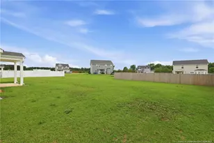 41 Race Ct, Godwin, NC 28344 - Photo 37