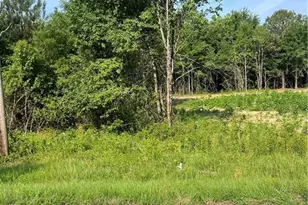 0 Produce Market Rd Rd, Laurinburg, NC 28352 - Photo 1