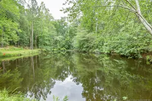 475 Simmons Rd, Robbins, NC 27325 - Photo 33