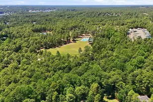 281 Pineridge Cove, Sanford, NC 27332 - Photo 41