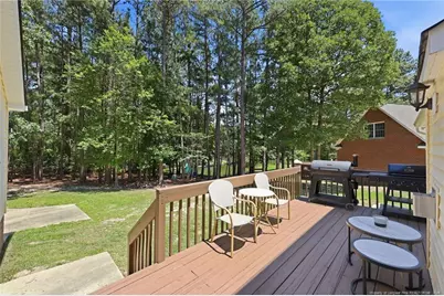 281 Pineridge Cove, Sanford, NC 27332 - Photo 39