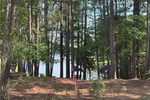 282 Pineridge Cove, Sanford, NC 27332 - Photo 21