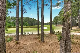 82 Pine Hawk Dr, Spring Lake, NC 28390 - Photo 47