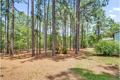 387 Forest Drive, Cameron, NC 28326 - Photo 13
