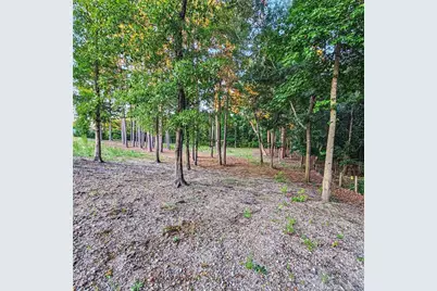 833 Brown Road, Lillington, NC 27546 - Photo 5