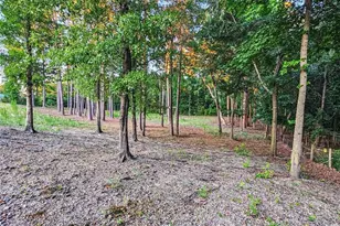 833 Brown Rd, Lillington, NC 27546 - Photo 5