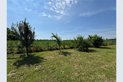2737 Ward Store Road, Fairmont, NC 28340 - Photo 39