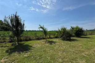 2737 Ward Store Rd, Fairmont, NC 28340 - Photo 39