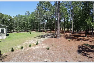 39 Forest Lake Drive, Jackson Springs, NC 27281 - Photo 43