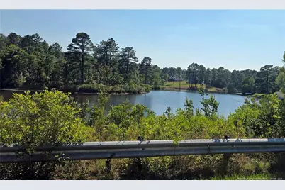39 Forest Lake Drive, Jackson Springs, NC 27281 - Photo 45