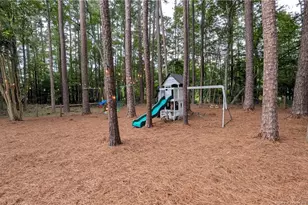 248 Chickory Pl, Vass, NC 28394 - Photo 45