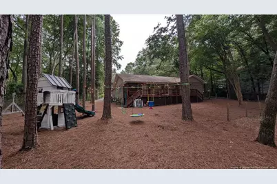 248 Chickory Place, Vass, NC 28394 - Photo 47