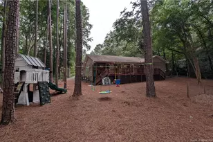248 Chickory Pl, Vass, NC 28394 - Photo 47