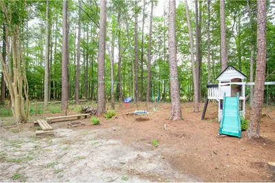 248 Chickory Place, Vass, NC 28394 - Photo 47
