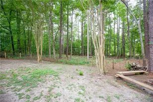 248 Chickory Pl, Vass, NC 28394 - Photo 49