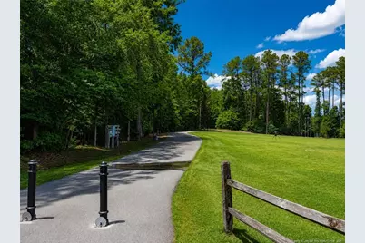 22 Capeside Courts, Lillington, NC 27546 - Photo 45