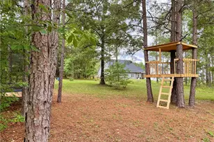 239 Apache Trail, Sanford, NC 27332 - Photo 27