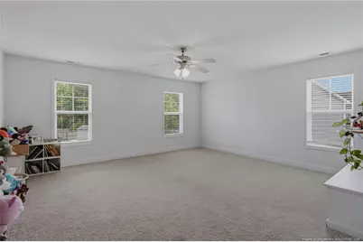 397 Windover Drive, Raeford, NC 28376 - Photo 33