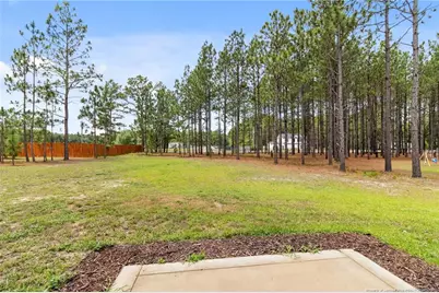 161 Desert Orchid Circle, Raeford, NC 28376 - Photo 33