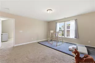 85 Race Ct, Godwin, NC 28344 - Photo 25