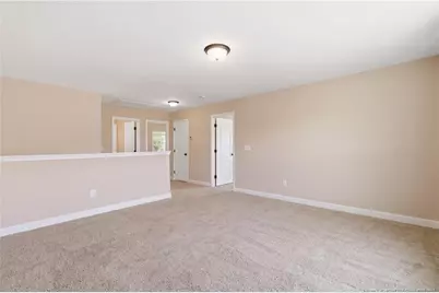 85 Race Court, Godwin, NC 28344 - Photo 23