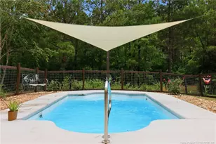 1008 Joe Collins Rd, Lillington, NC 27546 - Photo 41