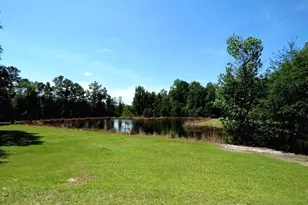 4512 Tobacco Rd, Orrum, NC 28369 - Photo 19