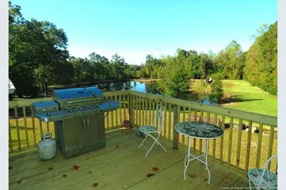 4512 Tobacco Road, Orrum, NC 28369 - Photo 45