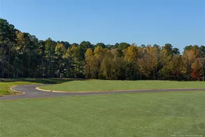 217 Hickory Grove Drive, Sanford, NC 27330 - Photo 47