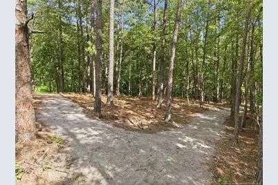 297 Elijah Way, Vass, NC 28394 - Photo 21