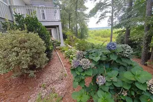 688 Azalea Dr, Vass, NC 28394 - Photo 37