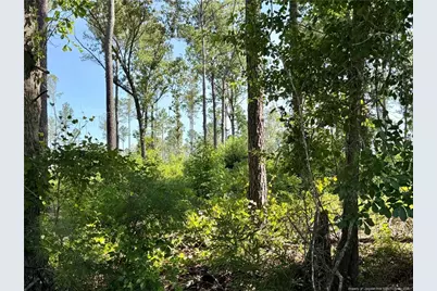 1396 Mercer Mill Road, Lumberton, NC 28358 - Photo 3