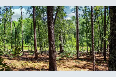 202 Englewood Drive, Raeford, NC 28376 - Photo 19