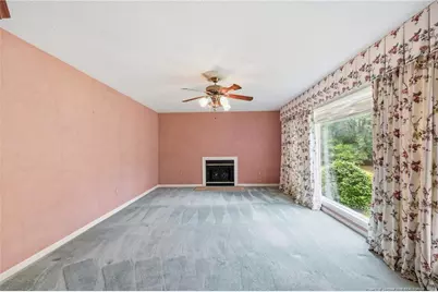 293 Pine Top Drive, Carthage, NC 28327 - Photo 9