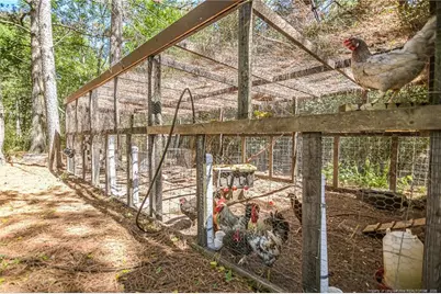 21181 Traders Road, Laurel Hill, NC 28351 - Photo 11