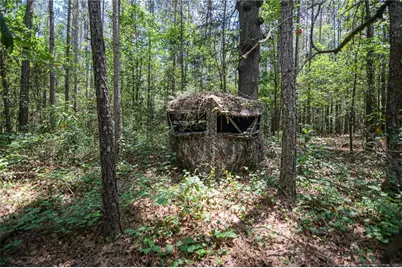 21181 Traders Road, Laurel Hill, NC 28351 - Photo 43