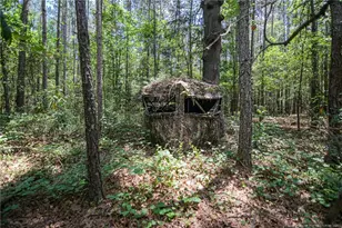 21181 Traders Rd, Laurel Hill, NC 28351 - Photo 43