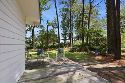 3993 McArthur Road, Broadway, NC 27505 - Photo 39