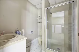 3993 McArthur Rd, Broadway, NC 27505 - Photo 21