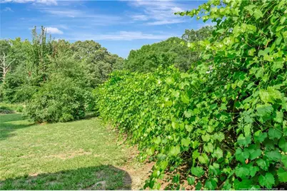 591 E Great Marsh Church Road, Saint Pauls, NC 28384 - Photo 27
