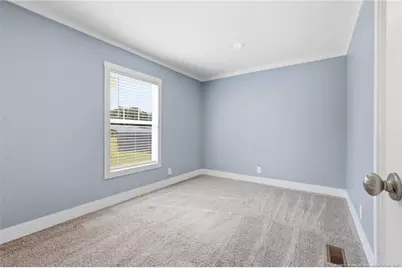 115 McIver Road, Raeford, NC 28376 - Photo 19