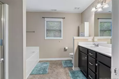 54 Schoomaker Court, Broadway, NC 27505 - Photo 29