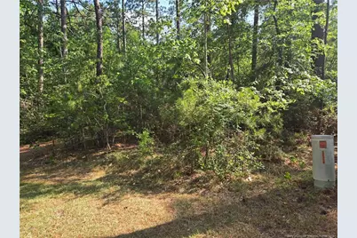 Tbd King Court, Pinehurst, NC 28374 - Photo 5