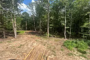 4529 Buckhorn Rd, Sanford, NC 27330 - Photo 23