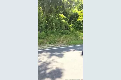 Lakewood School Road, Salemburg, NC 28385 - Photo 1