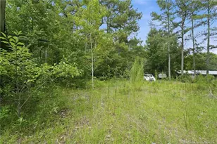 232 Iris St, Raeford, NC 28376 - Photo 11