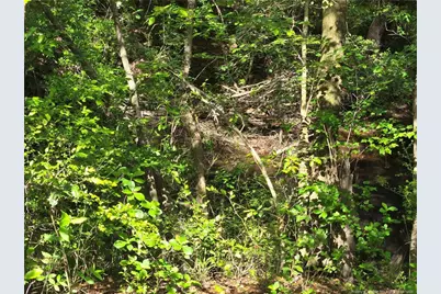 Tbd Cabins Creek Road, Vass, NC 28394 - Photo 5