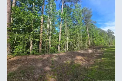 Tbd Cabins Creek Road, Vass, NC 28394 - Photo 1