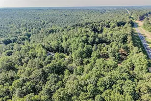 4532 Hawkins Ave, Sanford, NC 27330 - Photo 41